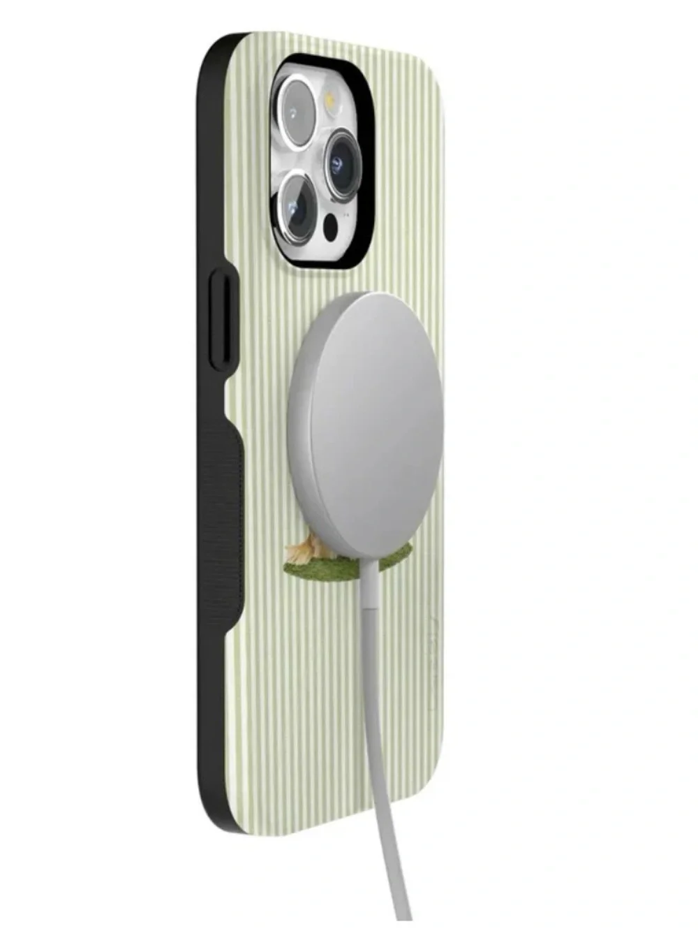 Casely iPhone 15 Pro Max Case Golden Retriever on The Green Striped Mag Safe NEW